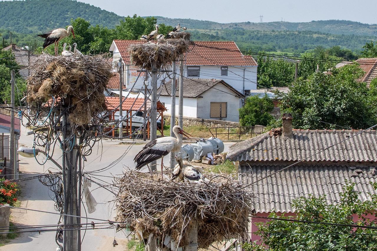 Bed & Breakfast Delikates Sztokajovo Kültér fotó